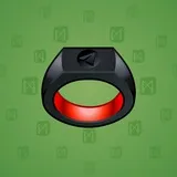 Signet Ring #1284