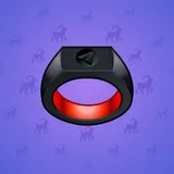 Signet Ring #1299