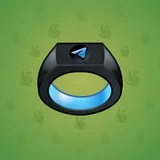 Signet Ring #1380