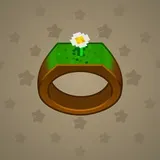 Signet Ring #1426