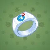Signet Ring #1456