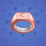 Signet Ring #1478