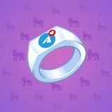 Signet Ring #1507