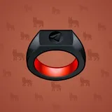 Signet Ring #172