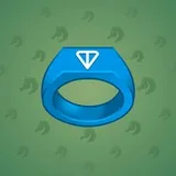 Signet Ring #1736