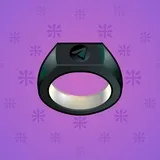 Signet Ring #1769