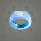Signet Ring #1826