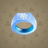 Signet Ring #1863