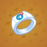 Signet Ring #2025