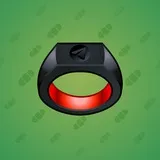 Signet Ring #2070