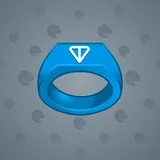 Signet Ring #2080