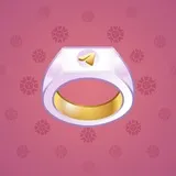 Signet Ring #2428