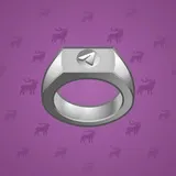Signet Ring #2476