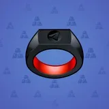 Signet Ring #2491