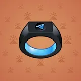 Signet Ring #2758