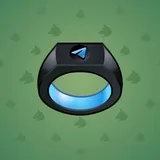Signet Ring #2898