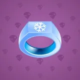 Signet Ring #2899