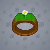 Signet Ring #2938