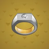 Signet Ring #313