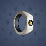 Signet Ring #333