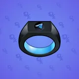 Signet Ring #3359