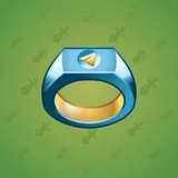 Signet Ring #3360