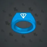 Signet Ring #344