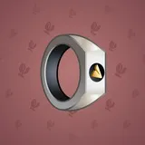 Signet Ring #3475