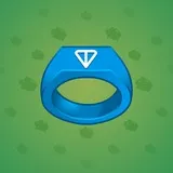 Signet Ring #363