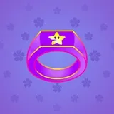 Signet Ring #371