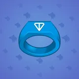Signet Ring #373