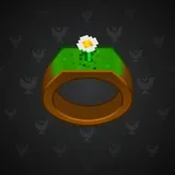 Signet Ring #3767
