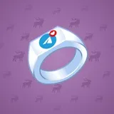 Signet Ring #3801