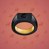 Signet Ring #3844