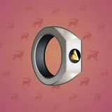 Signet Ring #412