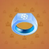 Signet Ring #4123