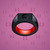 Signet Ring #4211