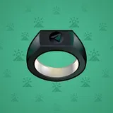 Signet Ring #432