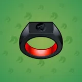 Signet Ring #4448