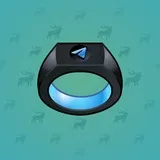 Signet Ring #4500