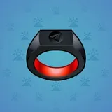 Signet Ring #4739