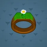 Signet Ring #474