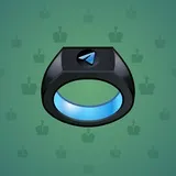 Signet Ring #4922