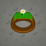 Signet Ring #5237