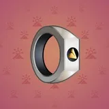 Signet Ring #569