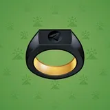 Signet Ring #6085
