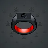 Signet Ring #6234