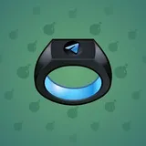 Signet Ring #633