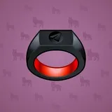 Signet Ring #6552