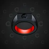 Signet Ring #6689